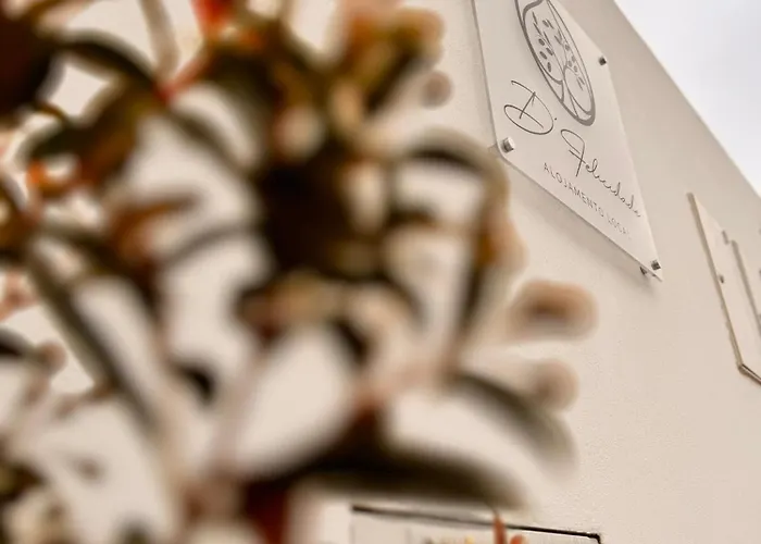 D'felicidade * Caldas Da Rainha